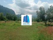 TERRENO EN VENTA TLAYACAPAN, MORELOS