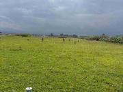 TERRENO EN VENTA, TOLUCA EDOMEX