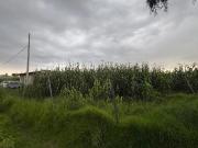 TERRENO EN VENTA TOLUCA POR AEROPUERTO