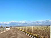 Terreno en venta – Tupungato Valley, Mendoza