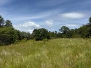 Terreno en venta ubicado en Camino Villarrica a Pucón