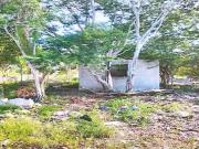 TERRENO EN VENTA UCÚ HUNUCMÁ CON SERVICIOS