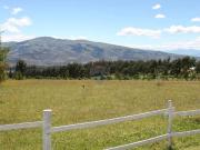 Terreno en venta, urbanizado, sector tabacundo