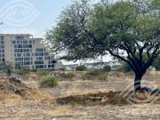 Terreno en Venta Uso Suelo Oficinas Fray Junípero Serra...