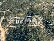 Terreno en venta Valle de Guadalupe / Land for sale...