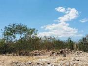 TERRENO EN VENTA VISTA ALEGRE NORTE,MERIDA