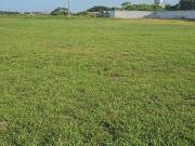 Terreno en venta y renta en Col. El Coyol, Veracruz