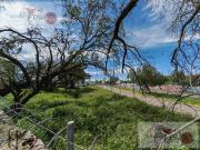 TERRENO EN VENTA Y/O RENTA