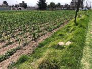 Terreno en venta en San Cristóbal Tecolit, Cancún,...