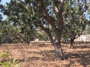 TERRENO EN VENTA ZONA DIAMANTE ACAPULCO
