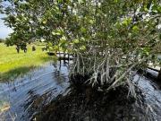 Terreno en venta zona playa Costa Esmeralda Veracruz...