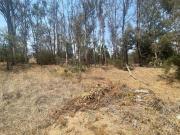 Terreno en Venta, zona Rancho San Juan Cod. VTE731