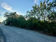 Terreno en Venta, Zona Residencial, Temozón norte,...