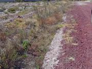 Terreno en venta Zona Sur Toledo, Pachuca