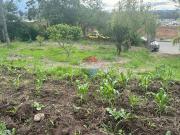 Terreno en Venta/San Antonio de Pichincha/2.830 m²