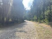 Terreno en Villa Alpina en Venta