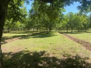 Terreno en Villa hidalgo Sonora