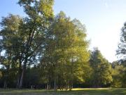 Terreno en Villarrica