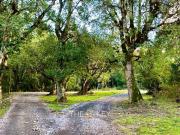 Terreno en Villarrica