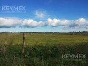 Terreno en Virrey Del Pino Terreno en Virrey Del Pino