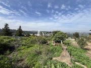 Terreno en Viña del Mar