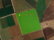 Terreno en Viñedor, Tequisquiapan Qro. Sup. 6 Hectáreas