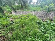 Terreno en Xochimilco cerca de madre selava