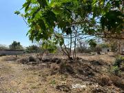 TERRENO EN YAUTEPEC