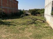 Terreno en Yecapixtla ideal para Cabañas o Airbnb — Zona...