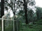 Terreno en zona boscosa, Sierra Encantada, Huitzilac,...