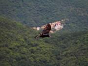 Terreno en zona Valle Alto Monterrey