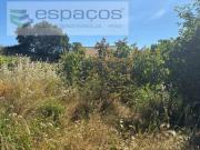 Terreno, Escalos de Baixo e Mata, Castelo Branco | BPI...