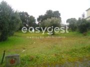 Terreno, Escalos de Cima e Lousa, Castelo Branco | BPI...