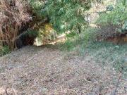 COLONIA DEL BOSQUE. Terreno escriturado en venta en la...