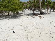 TERRENO ESCRITURADO EN VENTA EN MAHAHUAL, FRENTE AL MAR...