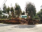 Terreno, Esmoriz, Ovar