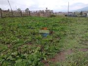 Terreno esquienro en venta, tenerias norte de quit