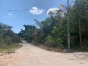 Terreno esquinero junto a la AV. Prolongacion de la...