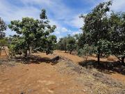 Terreno Estância Quintas da Alvorada amplo com vista