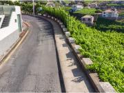 Terreno, Estreito de Câmara de Lobos, Câmara de Lobos |...