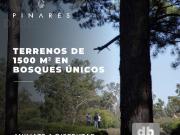 Terreno Exaltacion De La Cruz