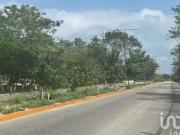 Terreno excelente para invesion 71 hectareas propia para... Terreno excelente para invesion 71 hectareas propia para...