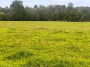 Terreno Excepcional Comuna Los Lagos, sector San Pedro