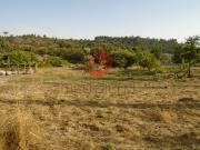 Terreno, Faíl e Vila Chã de Sá, Viseu | BPI Expresso...