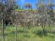 Terreno, Faíl e Vila Chã de Sá, Viseu | BPI Expresso...