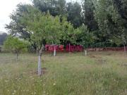 Terreno, Fânzeres e São Pedro Da Cova, Gondomar | BPI...