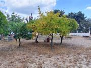 Terreno, Fernão Ferro, Seixal | BPI Expresso Imobiliário