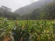 Terreno fértil, totalmente plano, al lado del río más...