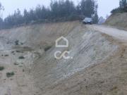 Terreno, Figueiras, Lousada