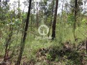 Terreno Florestal